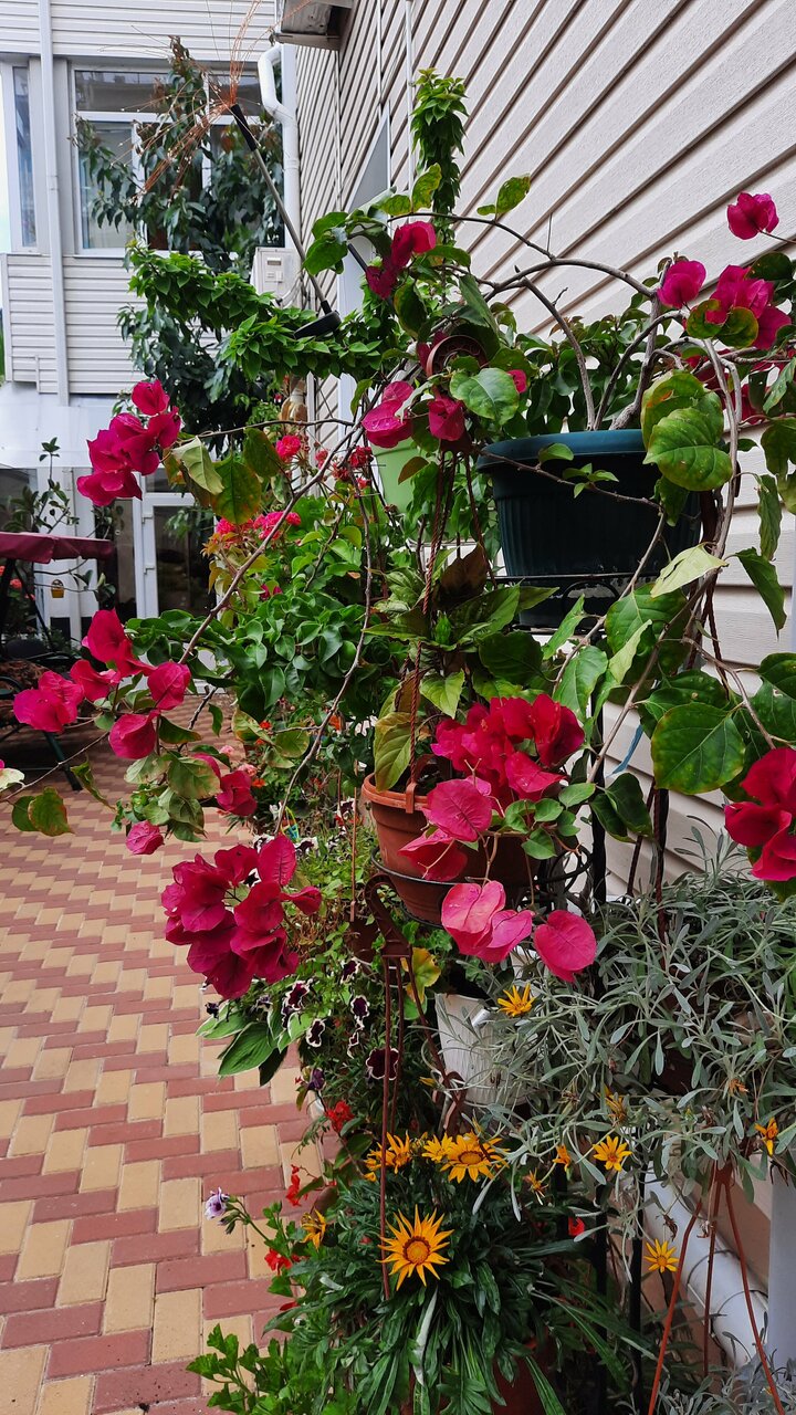 Гостиница В гостях у Анны Адлер-59