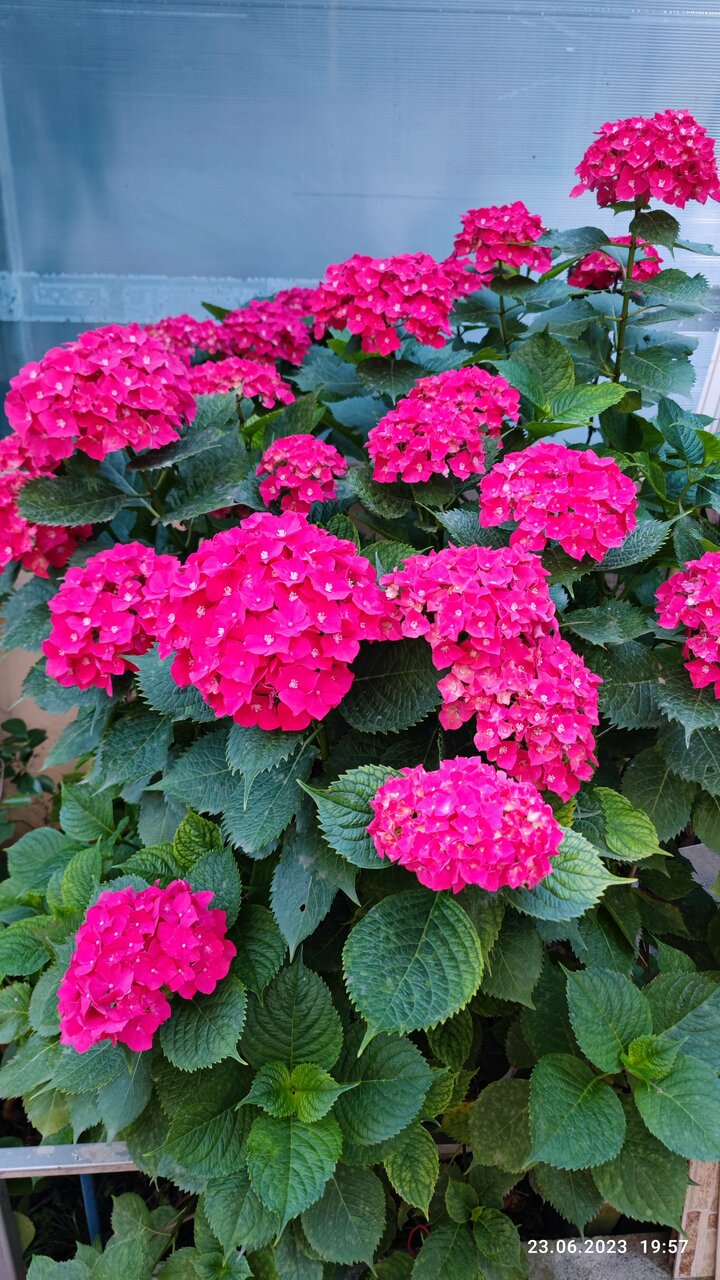 Гостиница В гостях у Анны Адлер-6