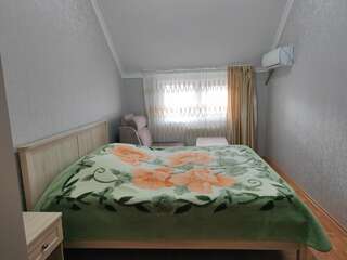 Гостиница В гостях у Анны Адлер Двухместный номер с 1 кроватью-1