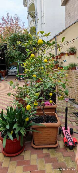 Гостиница В гостях у Анны Адлер Двухместный номер с 1 кроватью-10