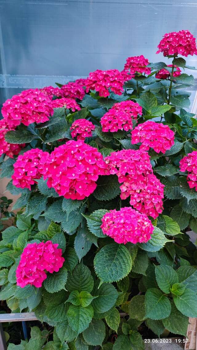 Гостиница В гостях у Анны Адлер-5